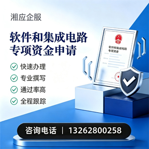 喀什软件和集成电路专项资金申报服务