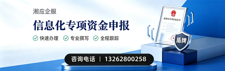 喀什信息化专项资金申报服务