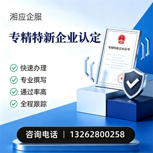喀什专精特新企业申报服务