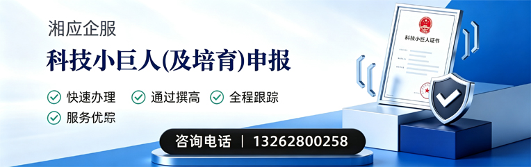 喀什科技小巨人及培育企业申报服务