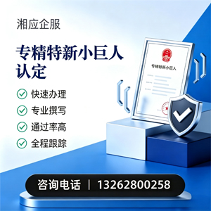 喀什专精特新小巨人申报服务