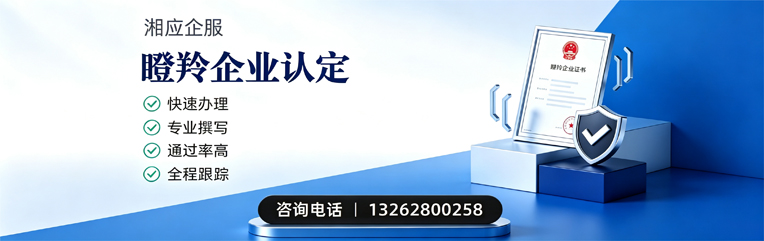 喀什瞪羚企业认定申报服务