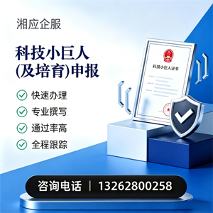 喀什科技小巨人及培育企业申报服务