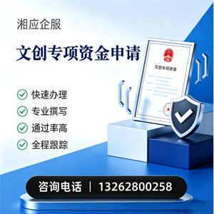 喀什文创专项资金申报服务
