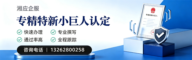 喀什专精特新小巨人申报服务